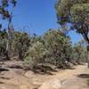 Looking at the junction of Everard Track and the upper car park