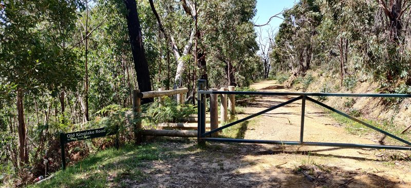 Looking down the Old Kinglake Road