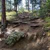 Crosier Mountain Trail from Garden Gate.