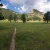 Crosier Mountain - smooth meadow after the first climb.