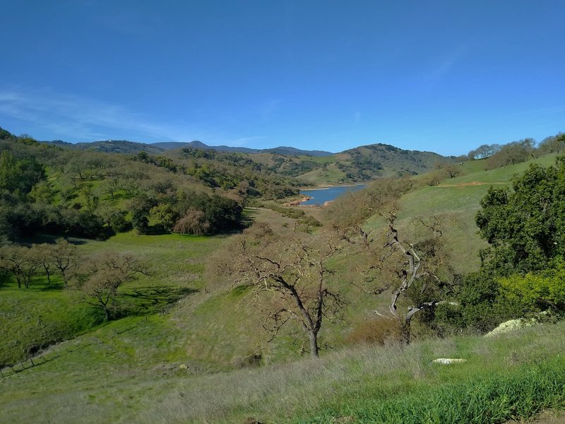 The grass and wooded hills of Calero County Park in February, with Calero Reservoir in the distance.  The Santa Cruz Mountains are in the far distance with Mt. Umunhum (3,488 ft.) left center. looking west from Oak Cove Trail.