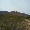 View of  Franklin Mountains from the trail