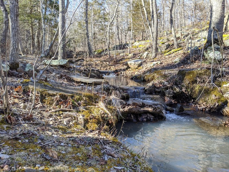 Initial creek crossing on north trail.