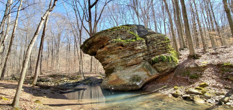 Large sandstone rock with tree growing on top alongside stream