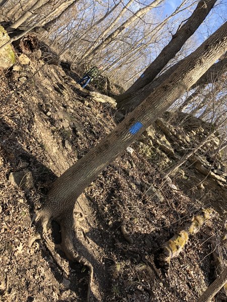 The switchbacks in this section of the trail are quite steep and sadly straight up the fall line (eroding).  I think the length of the switchbacks  are limited by the adjacent property which is fenced off.