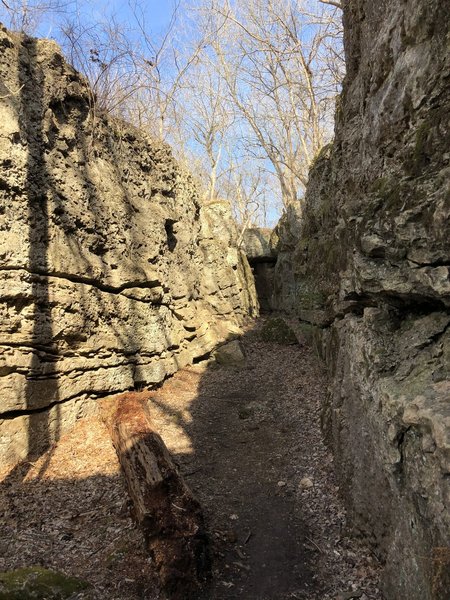 Elk River Hiking Trail : 842 Photos - Kansas, Randonnée