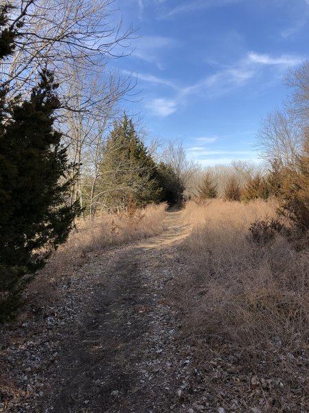 Entrance to the river trail