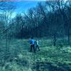 This is where the main line trail turns into the Hillside Loop