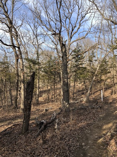 There's a lot of climbing on the Esse's Trail, be prepared