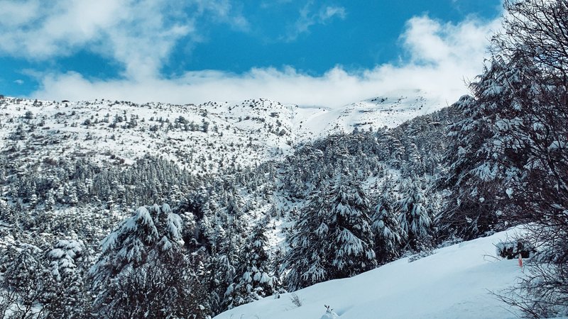 Ehden natural reserve