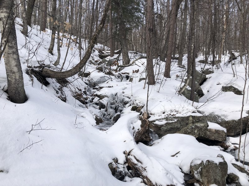 Wentworth Trail stream crossing