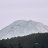 Mount Rainier on the one clear day this Winter