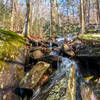 Great Smoky Mountains National Park - Bullhead Trail