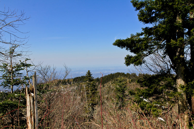 Great Smoky Mountains National Park - Rainbow Falls Trail