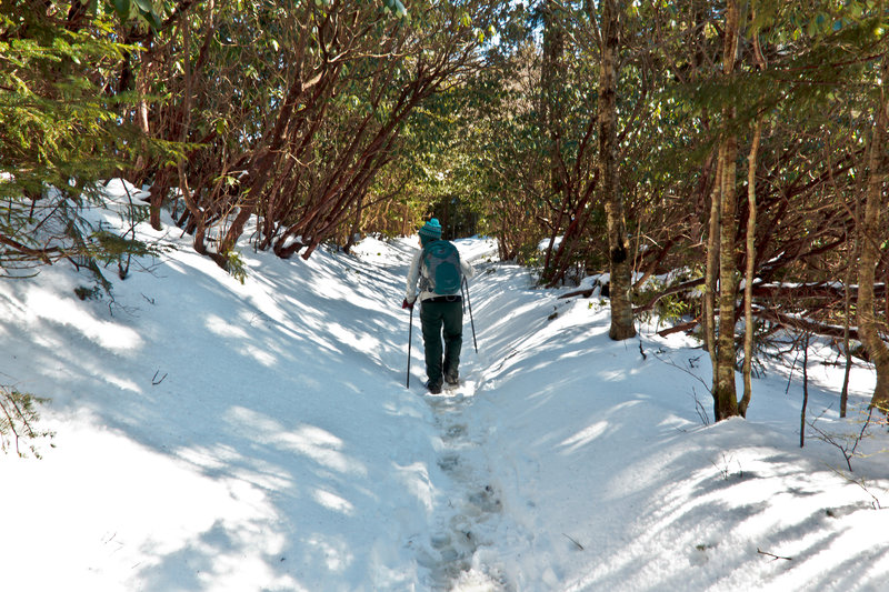 Great Smoky Mountains National Park - Rainbow Falls Trail