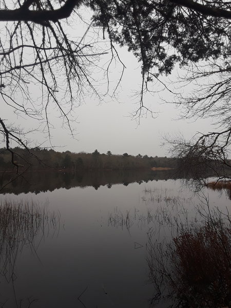 Reaching the destination, Schoolhouse Pond.