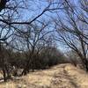 This section is a connection between the north-south trails and there's lots of potential to see deer and other critters here.