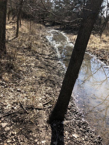 There is a trail that goes over this way, but it's just a constant mud hole...good for frog watching though.  :)