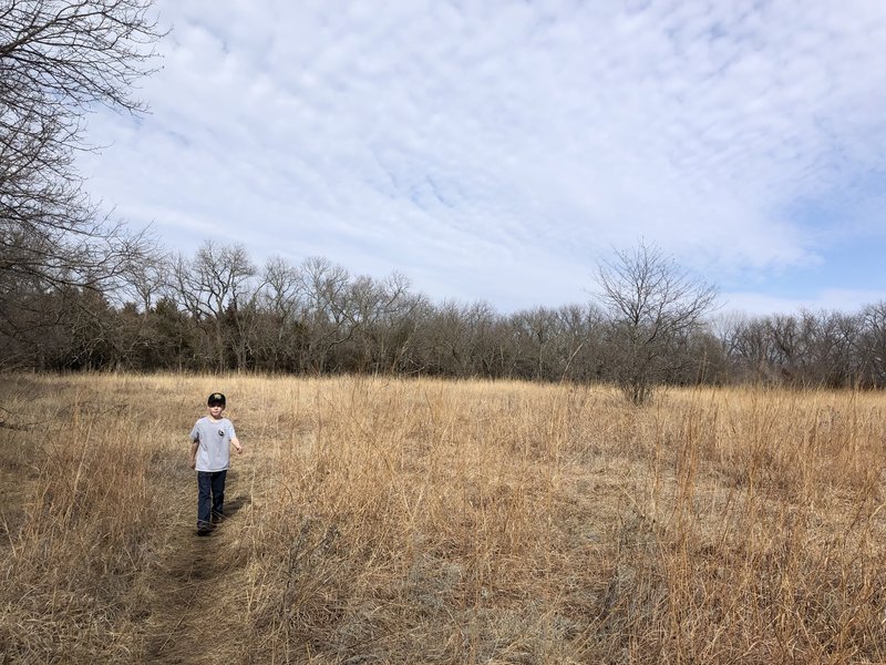 This is a great area for birding and wildlife watching