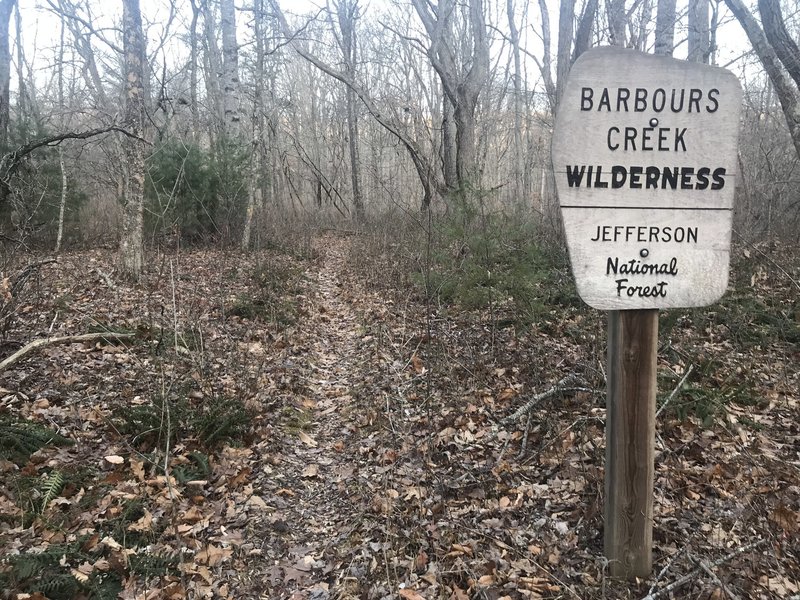 Trail as seen from just off of the parking lot