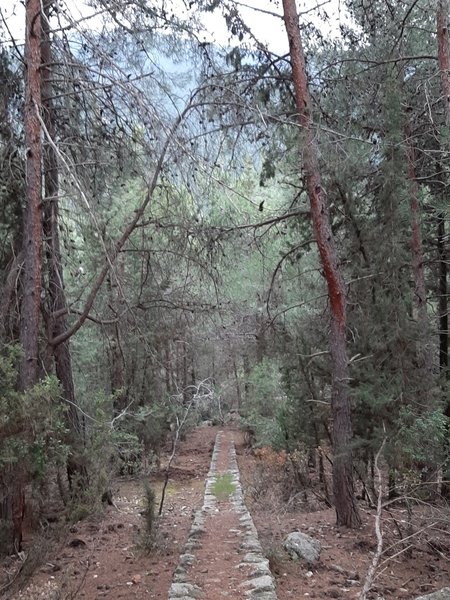 Old wall in the valley.