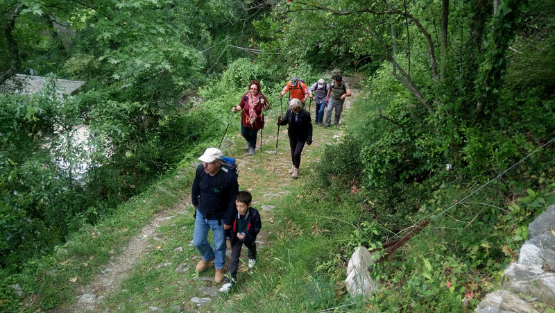 Hike through the woods