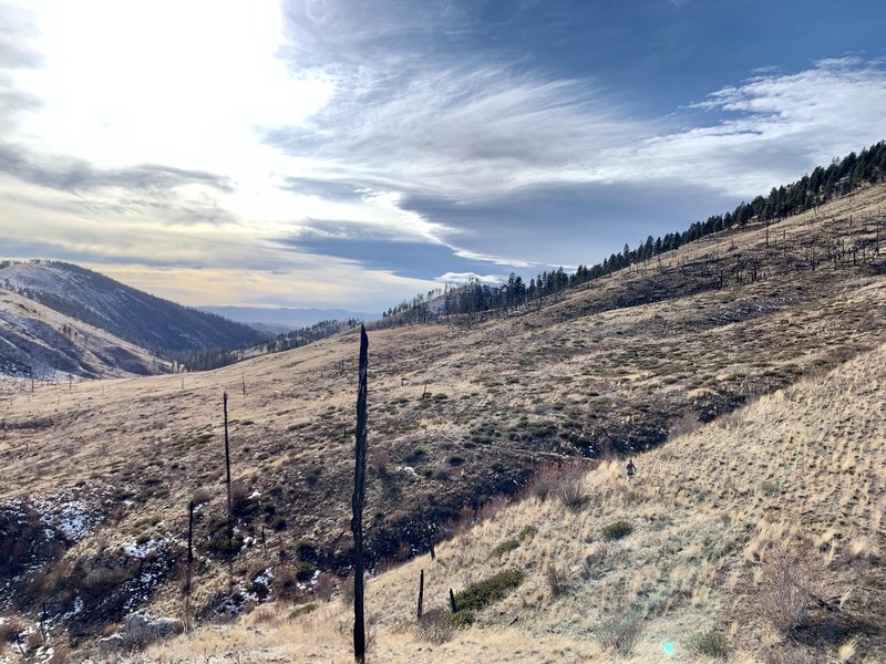 Heading down Big Log Gulch just above the Hunter's Gulch trail junction on a low snow year. Feb 2020