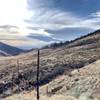 Heading down Big Log Gulch just above the Hunter's Gulch trail junction on a low snow year. Feb 2020