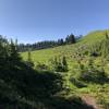 The meadows at the top of the climb on the Park Butte Trail.