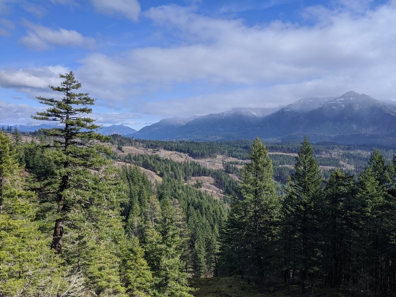 Greenleaf Overlook