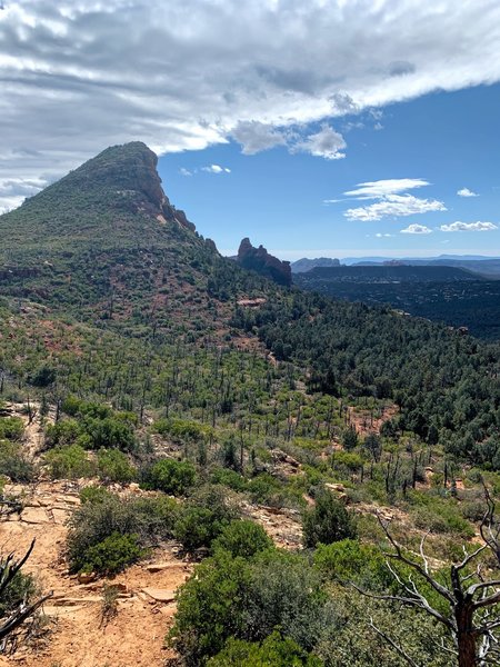 Overlooking Sedona from Brins Mesa