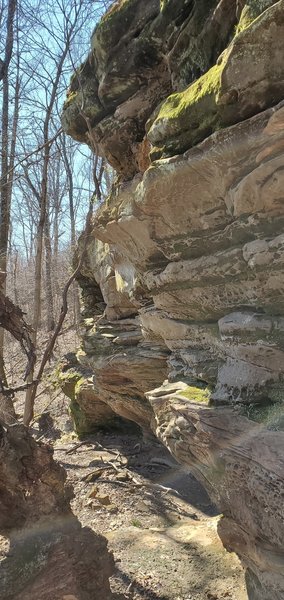 Exposed rock outcropping