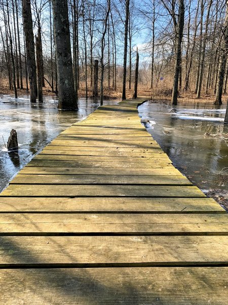 Section of the boardwalk at the east side observation tower