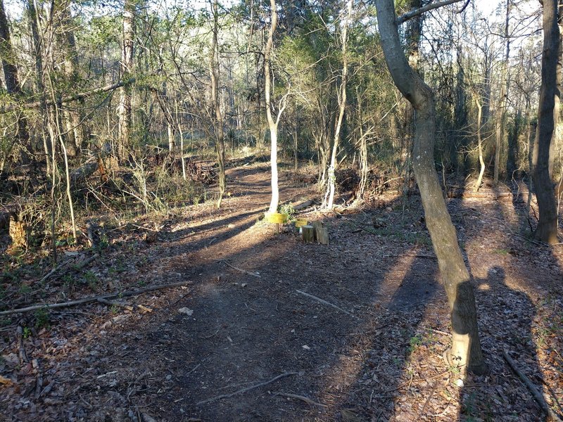 Walker Entrance to the Enchanted Trail Loop off Purser-Hulsey Main Trail