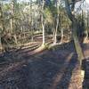 Walker Entrance to the Enchanted Trail Loop off Purser-Hulsey Main Trail