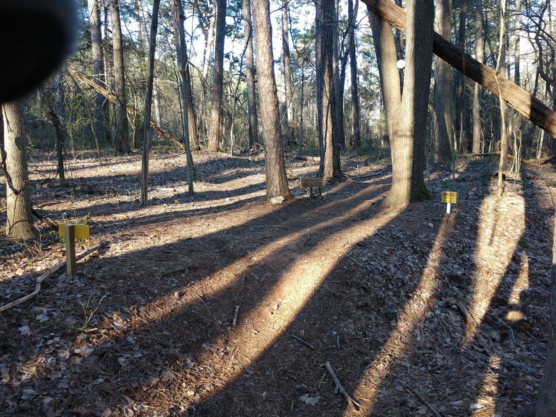 Biker Entrance to Enchanted Forest Loop off Purser-Hulsey Main Trail