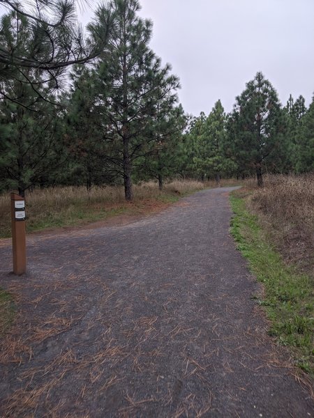 Trail intersection