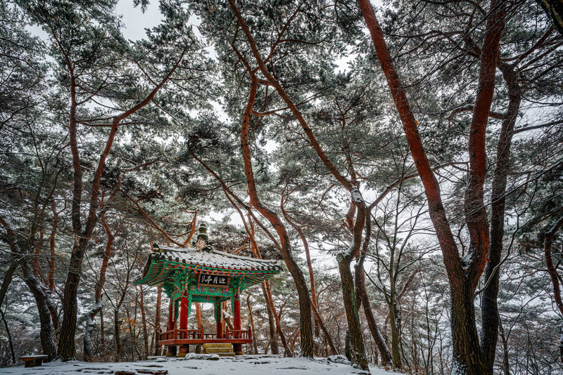 Small pavilion among old trees at Namhansanseong Fortress