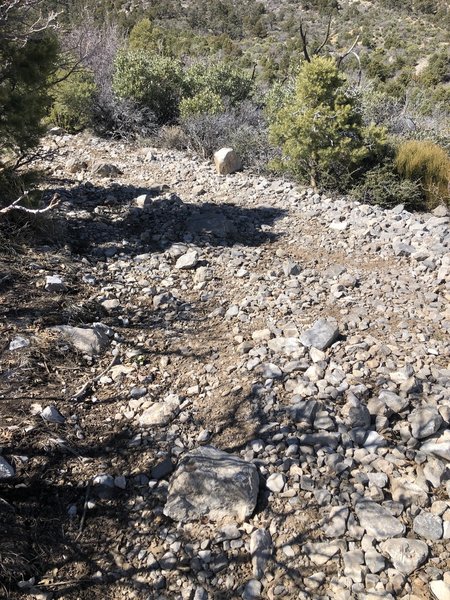 This is the only rock that is at the highest point as a land mark great for eating.