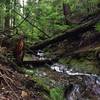 A creek on Tiger Mountain