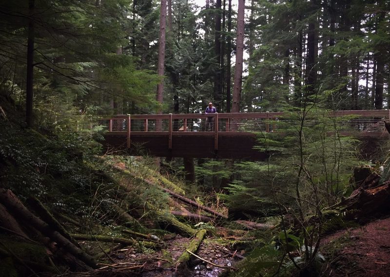 A bridge crossing over a creek