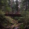 A bridge crossing over a creek