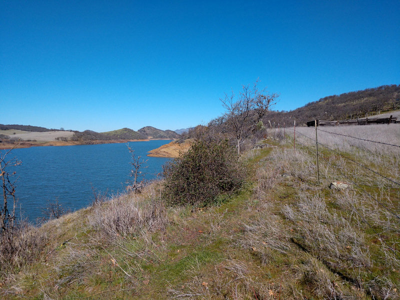 Looking north from near the southern end of the trail.