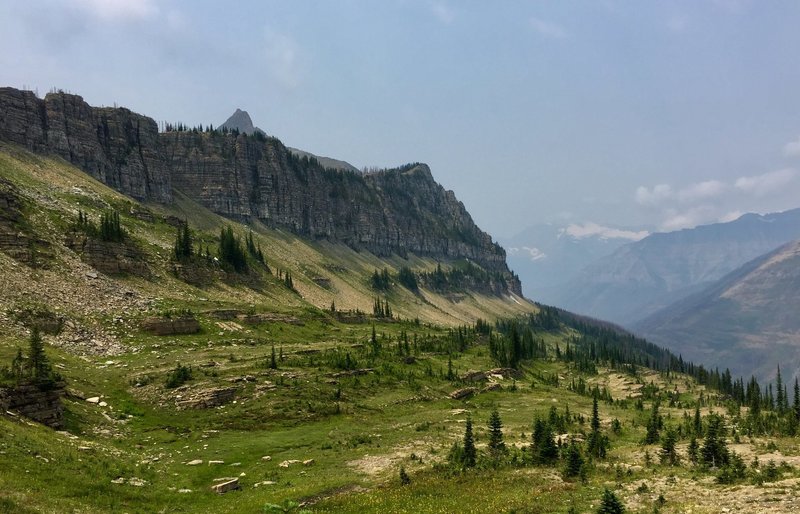 A meadow below Cut Bank Pass.