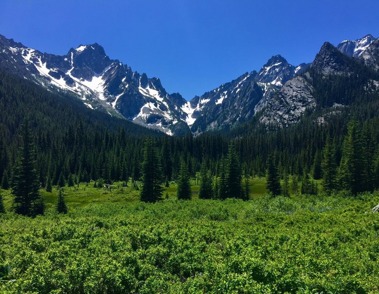 A meadow along the Stuart Lake Trail.