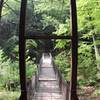 Crossing Great Trough Creek on Suspension Bridge