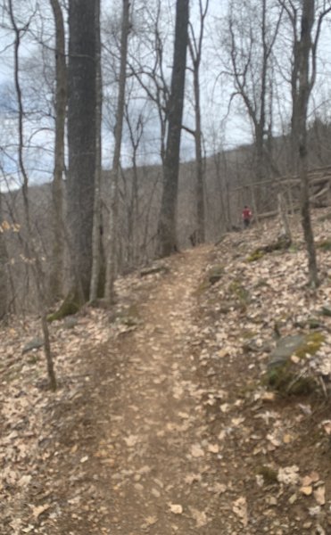 Boat Ridge Trail - winter