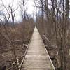 Boardwalk through woods