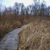 The boardwalk through the fen