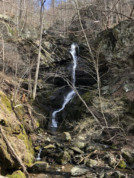 Lower Doyles Falls